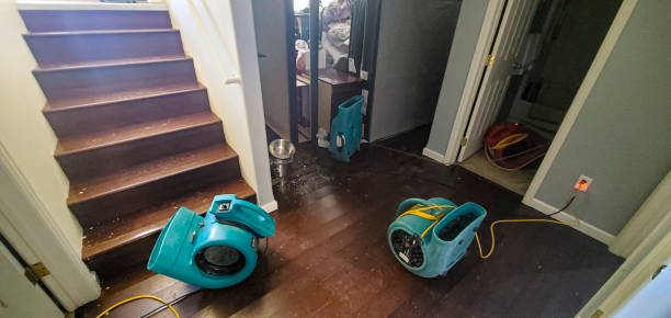 Best Fire Damage Restoration  in Lake Havasu City, AZ
