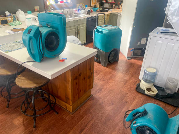 Water damage restoration experts in Lake Havasu City, AZ
