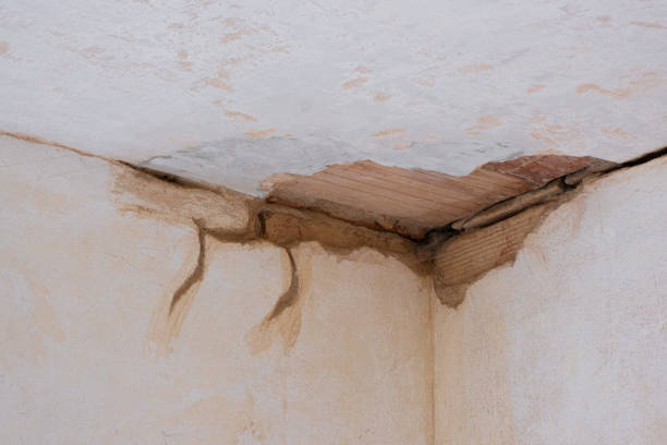 Best Residential water damage restoration  in Lake Havasu City, AZ