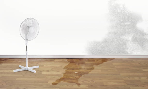 Best Flooded house restoration  in Lake Havasu City, AZ
