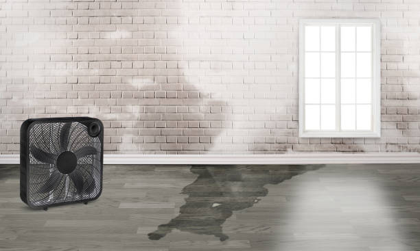  Lake Havasu City, AZ Water damage restoration Pros