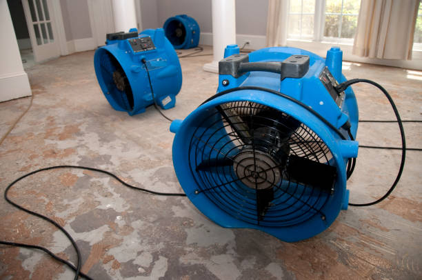 Sewage cleanup and water damage restoration in Lake Havasu City, AZ