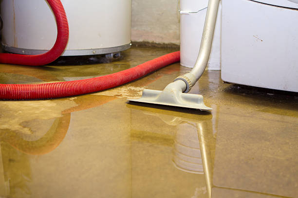 Best Flood damage cleanup  in Lake Havasu City, AZ