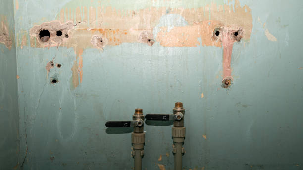 Best 24-hour water damage restoration  in Lake Havasu City, AZ
