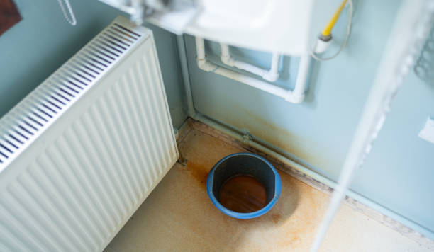 Best Water damage restoration near me  in Lake Havasu City, AZ