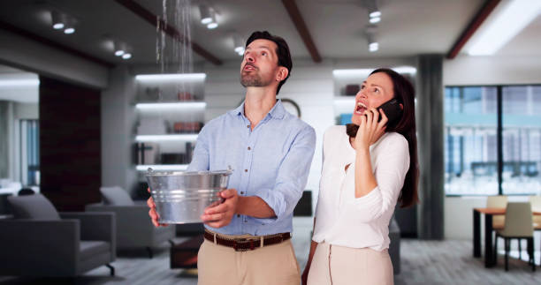Best Water damage restoration near me  in Lake Havasu City, AZ